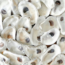 Load image into Gallery viewer, Oyster Shells