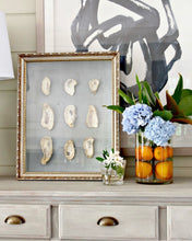 Load image into Gallery viewer, Oyster Shells