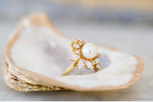 Load image into Gallery viewer, Oyster Shells