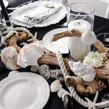 Load image into Gallery viewer, Oyster Shells