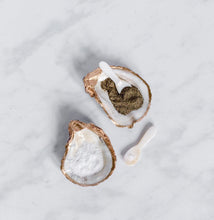 Load image into Gallery viewer, Oyster Shell Salt &amp; Pepper Set